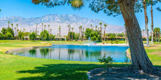 28859 Desert Princess Drive Gallery 1