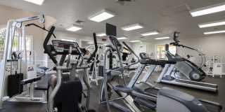 Victoria Place Gallery 66