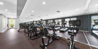 TGM Bull Run Gallery 32