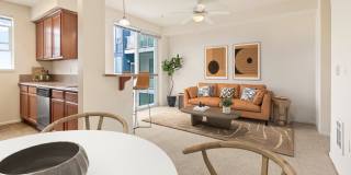 Apex Apartments Gallery 2