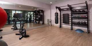 North Grove Gallery 91