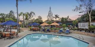 Park Pointe Gallery 25