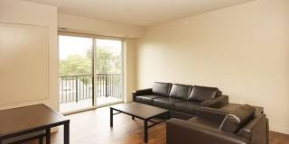 The Elysian Gallery 499