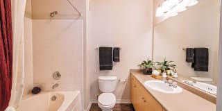 Ascent North Gallery 15