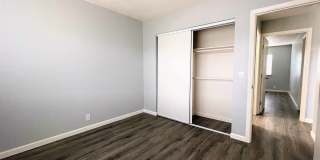 Summer Woods Gallery 36