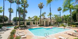 25182 Via Catalina Gallery 20