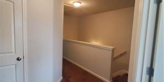 1898 Old Dogwood Gallery 16