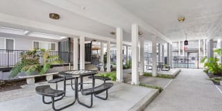 Spring Ridge on Fletcher Apartments Gallery 10