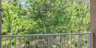 Great condo! New AC system! Gallery 13