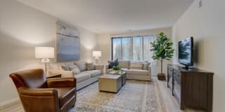 International Village - Lombard Gallery 1