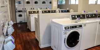 The Place At Forest Ridge Apartments Gallery 16