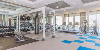 Ravella at Sienna Gallery 15