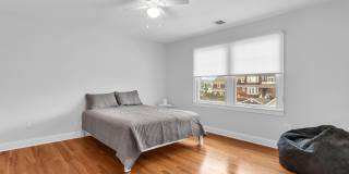 7 Anderson Street Gallery 22