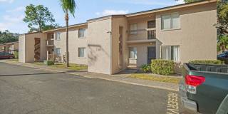 Cozy 2 Bed 1.5 Bathroom in Temple Terrace Gallery 1