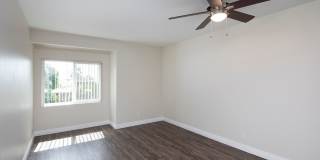 Golden Pacific Gallery 3