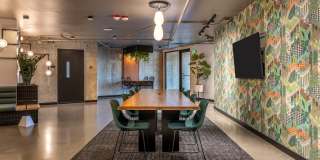 Arlo Gallery 41