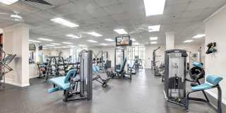 281 N Tilford N Gallery 42