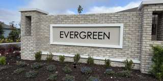 11234 Sycamore Glen Loop Gallery 42