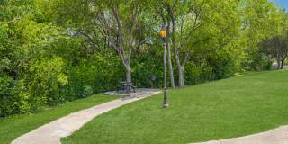 Medical Center Gallery 24