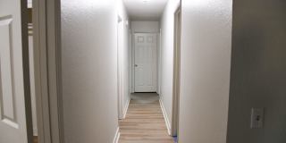 1271 Mosswood Gallery 12