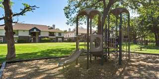 Oak Forest Gallery 8