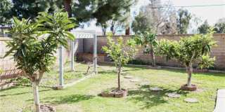 183 S Starflower Gallery 4