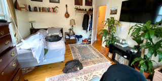 2 Oswald St #3C Boston MA 02120 Gallery 4