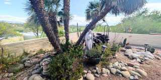 5085 N Camino Del Lazo Gallery 15
