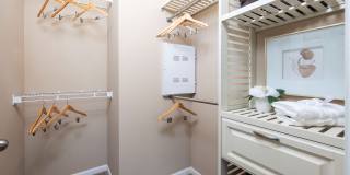 Clear Springs Gallery 8