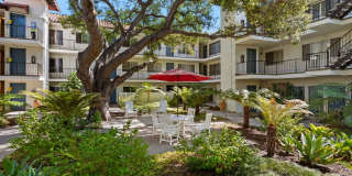 Live the American Riviera Experience! Live the American Riviera Experience! Gallery 25