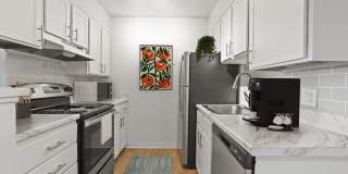 The Modern Gallery 2