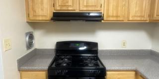 Hewitt Gardens Gallery 3