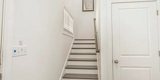 2664 Stellar Loop Gallery 5