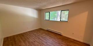 3 Bed 2 Bath Condo & Pool Access! Gallery 13