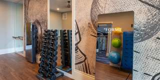Pearl Rosemont Gallery 8