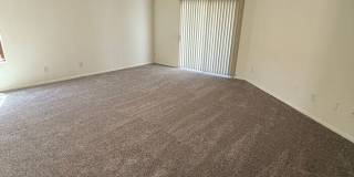 10258 East Wasp Spring Drive Gallery 14