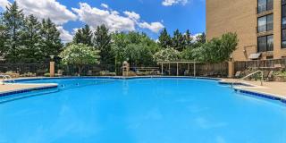 Whitestone at Landmark Gallery 6