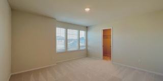 6234 FIELDRUN Gallery 18