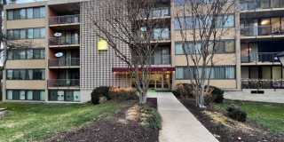 4 S VAN DORN Street unit: 204 Gallery 1