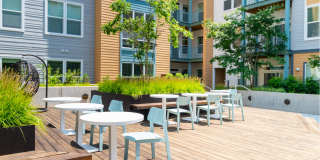 The Alder Gallery 39