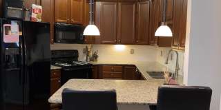 24701 BYRNE MEADOW Square Gallery 4