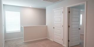 123 Painted Lady Loop Gallery 15