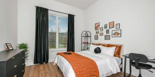 Apollo Apartments Gallery 4