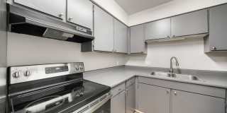 The Meadows Gallery 10