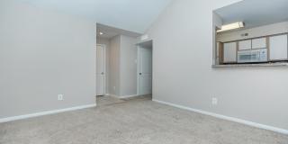 White Oak Gallery 31