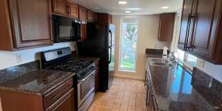 Beautiful 2 bedroom Condo Gallery 1
