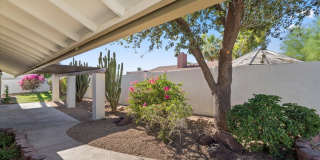 1756 W ECHO Lane Gallery 5