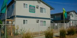 Coleen Court Gallery 14