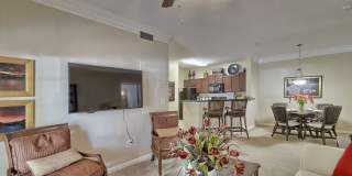 Lullwater at Saluda Pointe Gallery 5