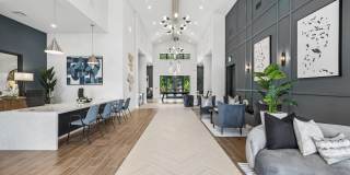 Alta Rowe Gallery 8